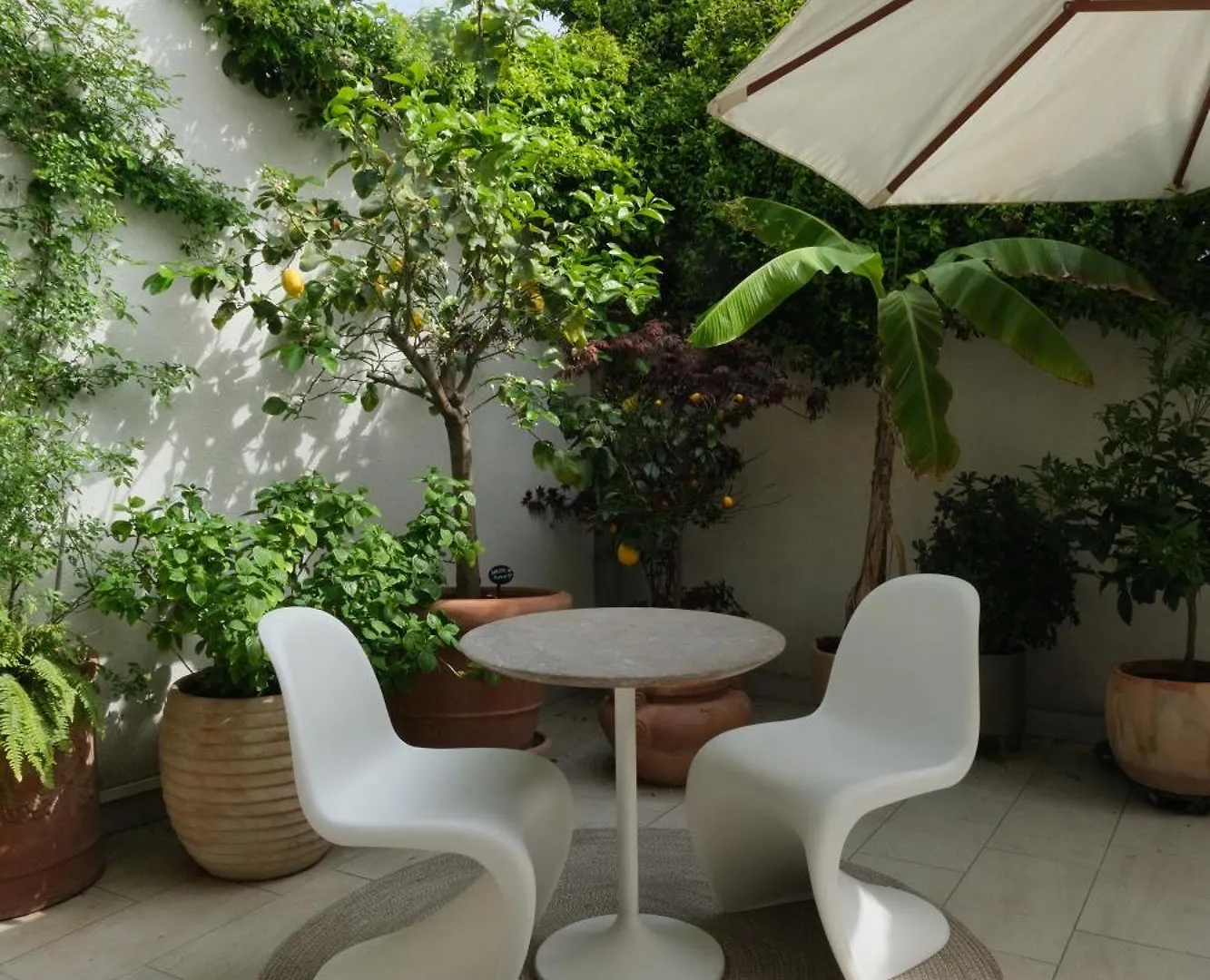 Little Backyard Apartment Split